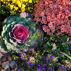 Meet your Posher, Maria